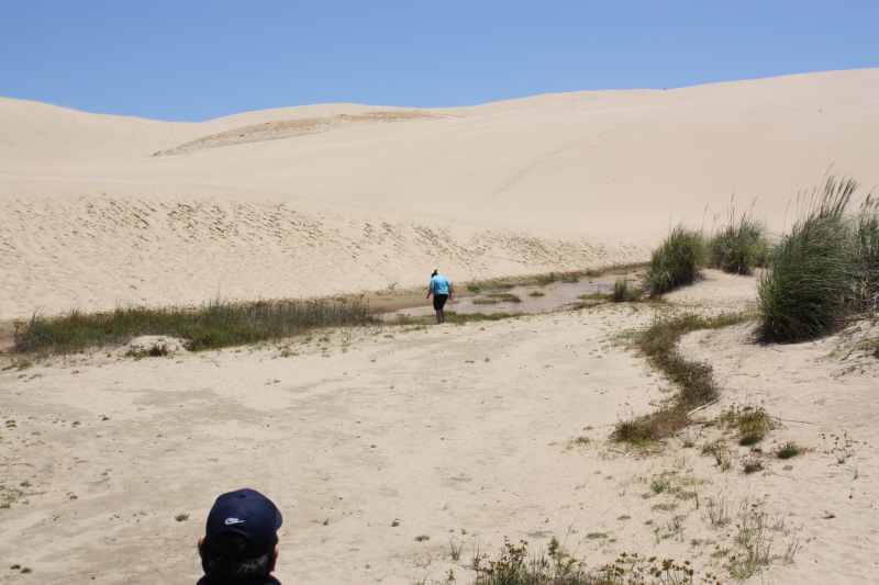 Nieuw-Zeeland 2011 - 0356